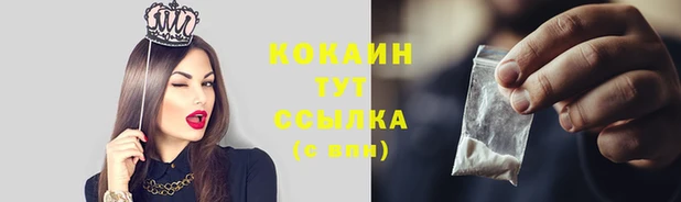 мяу мяу кристалл Иннополис
