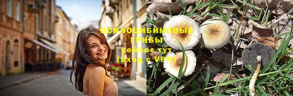 хмурый Зеленокумск
