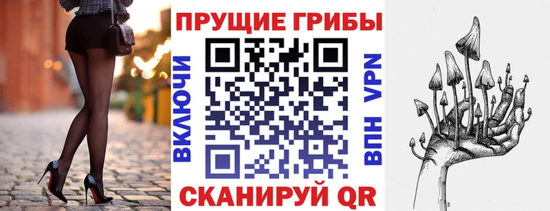 darknet официальный сайт  Солнечногорск  Галлюциногенные грибы прущие грибы 