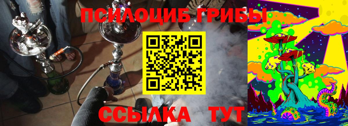 Псилоцибиновые грибы Psilocybe Солнечногорск