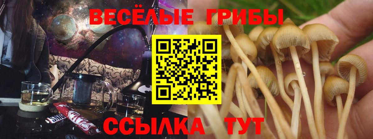 где купить наркоту  Галлюциногенные грибы MAGIC MUSHROOMS  Вход с VPN  Солнечногорск  Псилоцибиновые грибы прущие грибы 